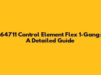 64711 Control Element Flex 1-Gang: A Detailed Guide