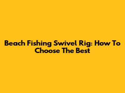 Beach Fishing Swivel Rig: How To Choose The Best