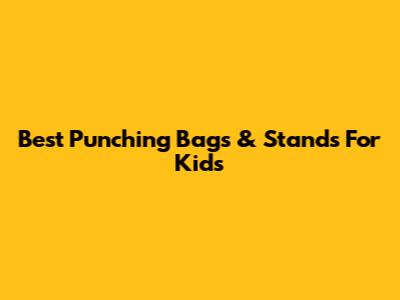 Best Punching Bags & Stands For Kids