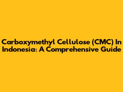 Carboxymethyl Cellulose (CMC) In Indonesia: A Comprehensive Guide