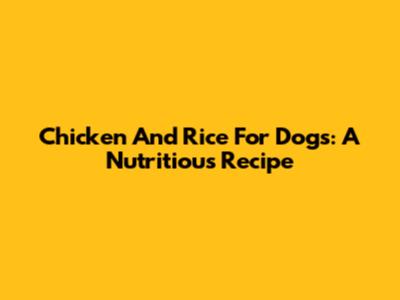 Chicken And Rice For Dogs: A Nutritious Recipe