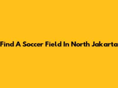 Find A Soccer Field In North Jakarta