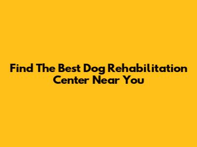 Find The Best Dog Rehabilitation Center Near You