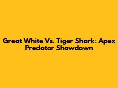 Great White Vs. Tiger Shark: Apex Predator Showdown
