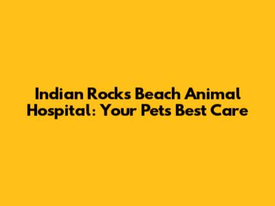 Indian Rocks Beach Animal Hospital: Your Pet's Best Care