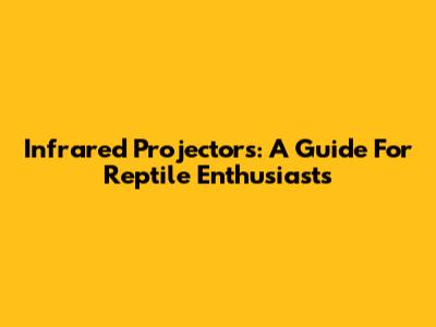 Infrared Projectors: A Guide For Reptile Enthusiasts