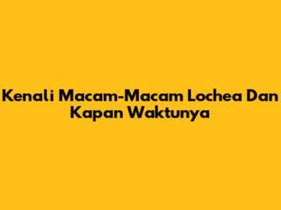 Kenali Macam-Macam Lochea Dan Kapan Waktunya