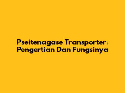 Pseitenagase Transporter: Pengertian Dan Fungsinya