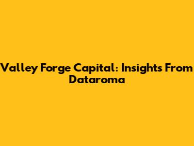 Valley Forge Capital: Insights From Dataroma
